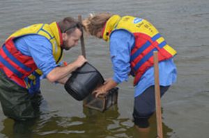 Prawns stocked in Lake Tyers
